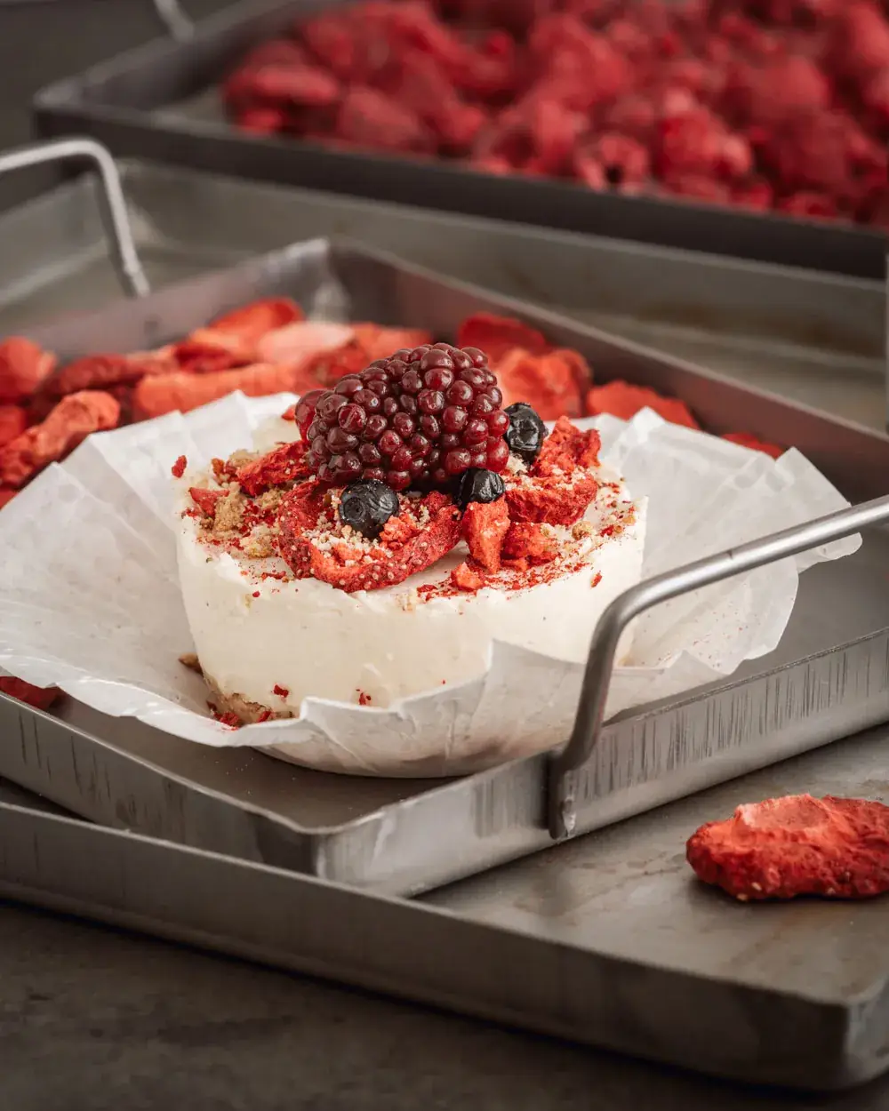 Mini no-bake vaniljcheesecake