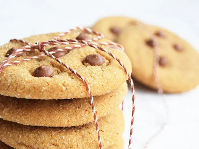 Sega gingerbread cookies